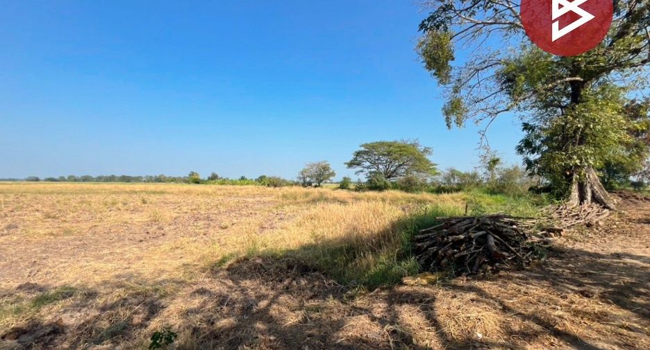 For sale land in Sapphaya, Chainat