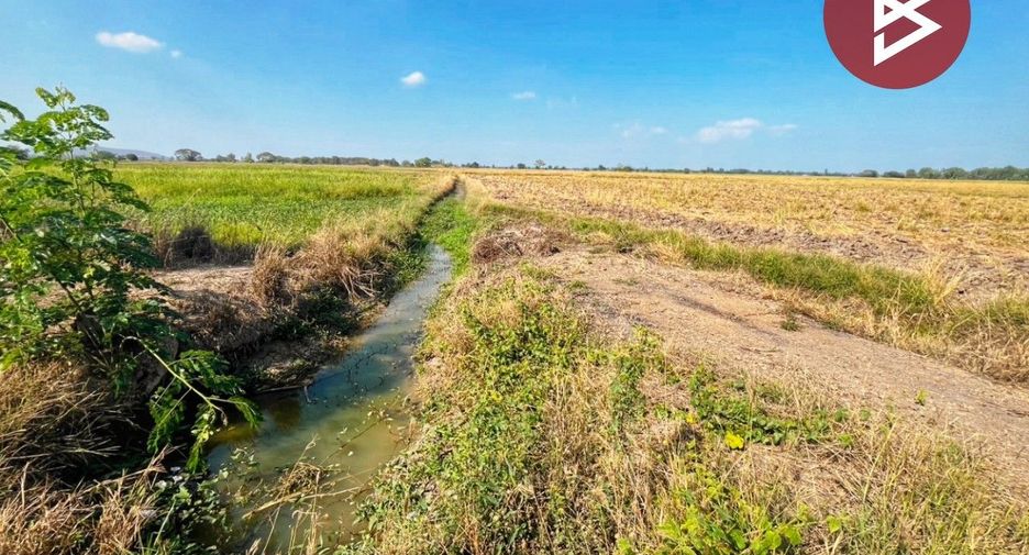 For sale land in Sapphaya, Chainat
