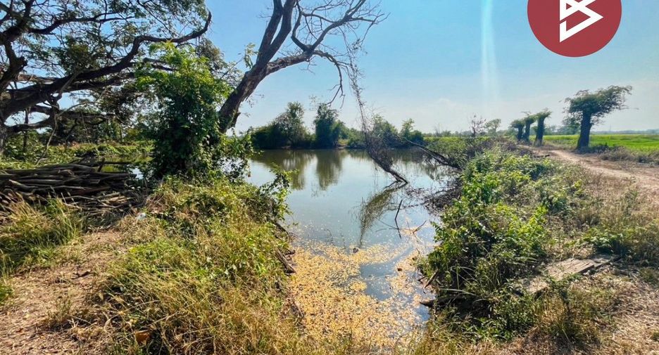 For sale land in Sapphaya, Chainat