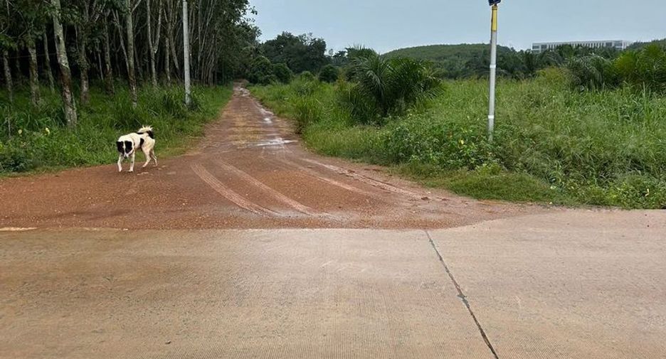 For sale land in Nong Yai, Chonburi