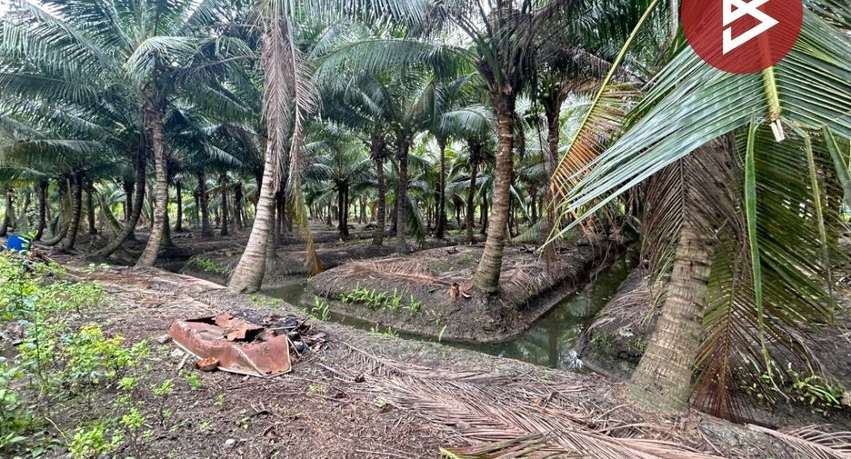 For sale land in Wat Phleng, Ratchaburi