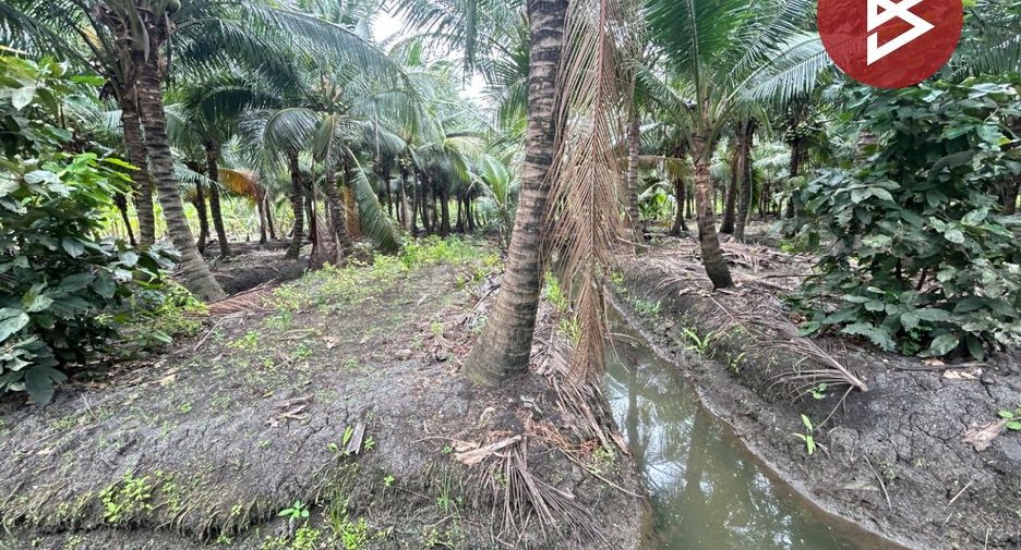 For sale land in Wat Phleng, Ratchaburi