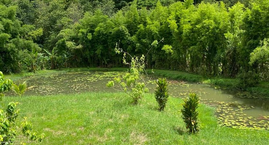For sale 5 bedrooms house in Mae Rim, Chiang Mai
