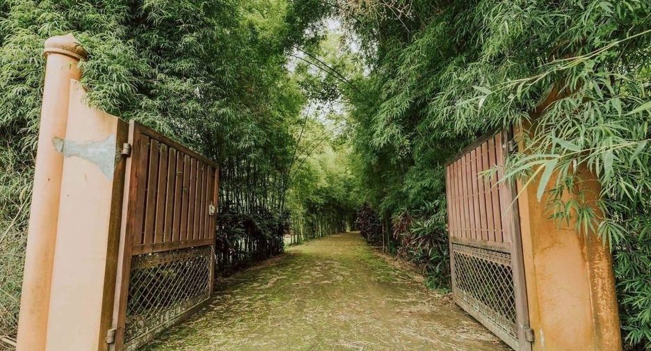 For sale 5 bedrooms house in Mae Rim, Chiang Mai