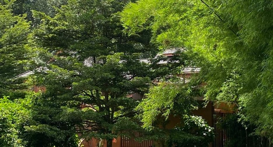 For sale 5 bedrooms house in Mae Rim, Chiang Mai