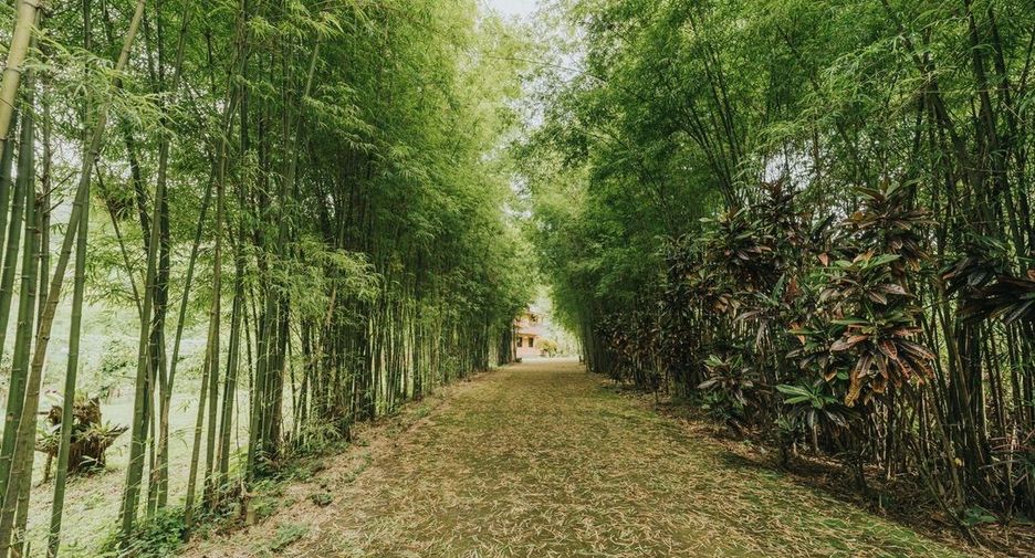 For sale 5 bedrooms house in Mae Rim, Chiang Mai