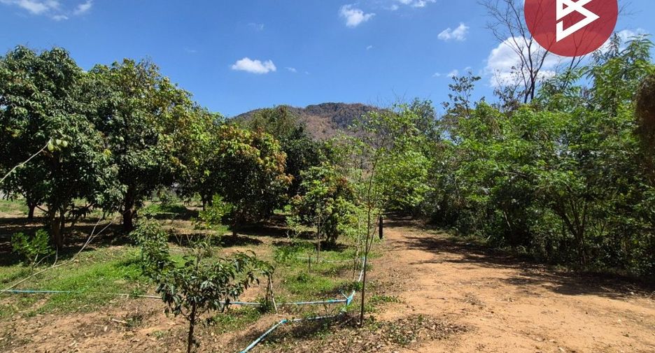 For sale land in Pak Tho, Ratchaburi