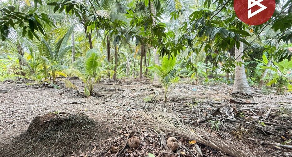 For sale land in Damnoen Saduak, Ratchaburi