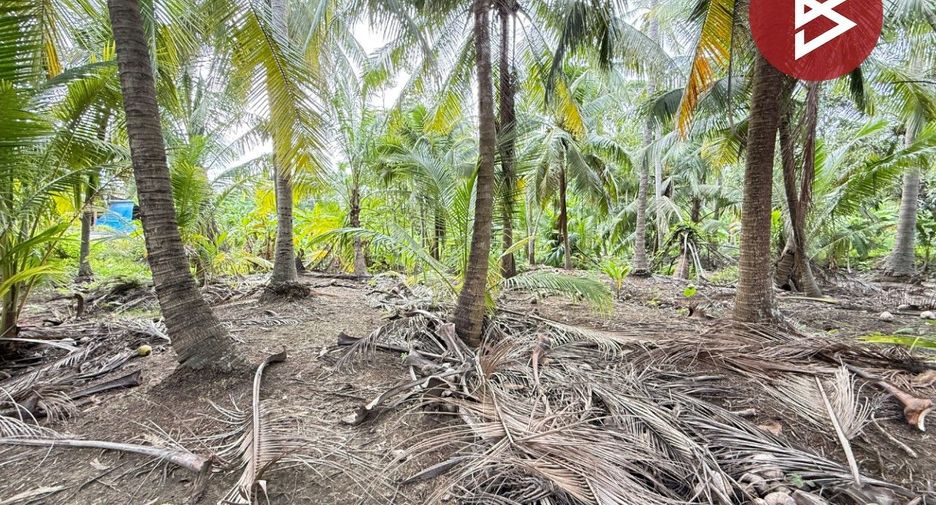 For sale land in Damnoen Saduak, Ratchaburi