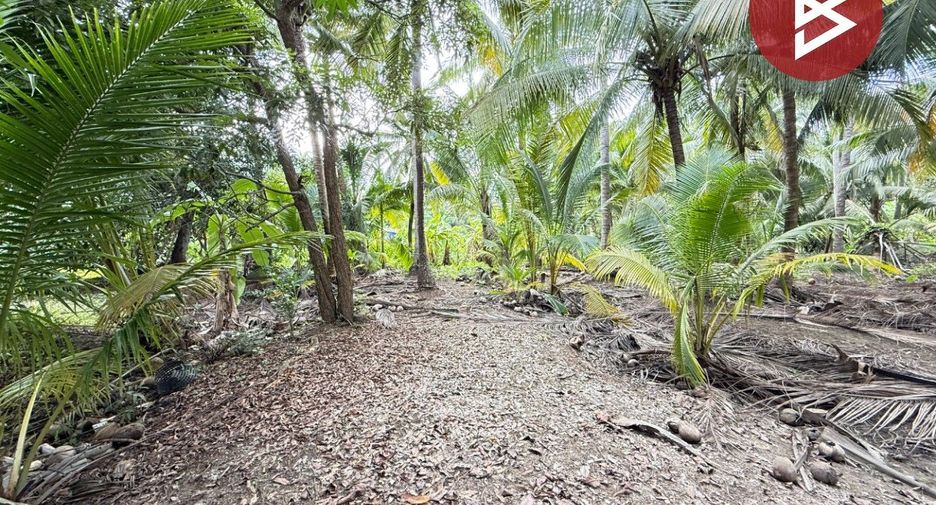 For sale land in Damnoen Saduak, Ratchaburi