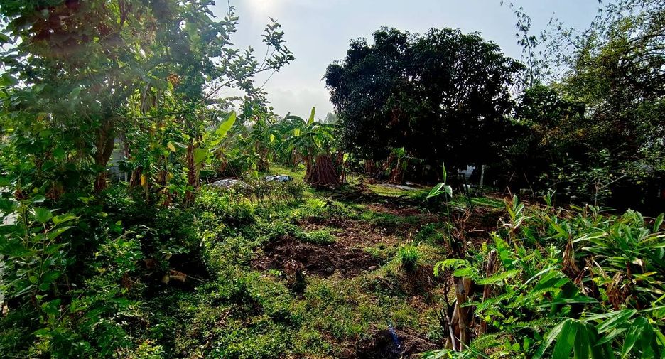 Продажа Участок в Phanat Nikhom, Чонбури
