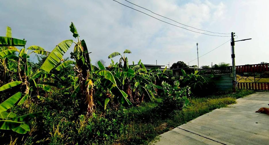 Продажа Участок в Phanat Nikhom, Чонбури