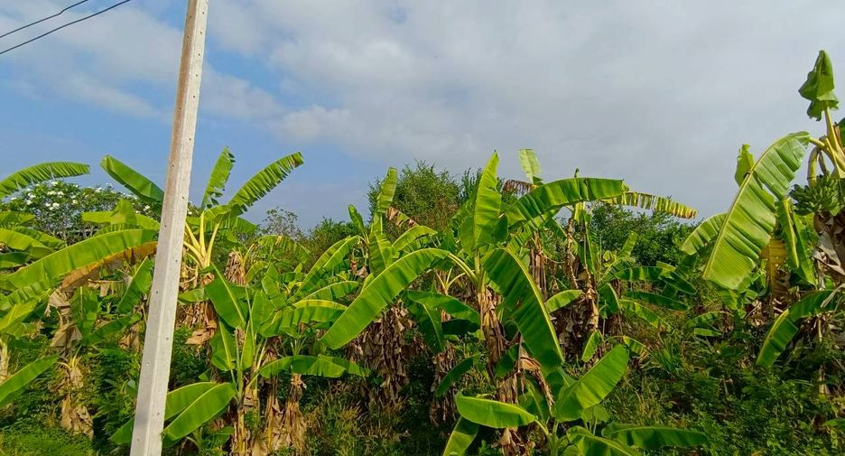 Продажа Участок в Phanat Nikhom, Чонбури