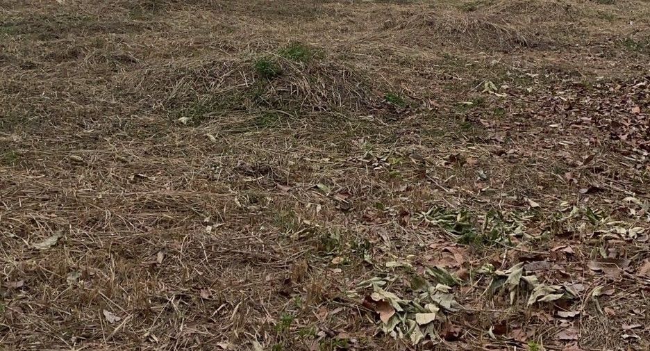 Продажа Участок в Makham, Чантхабури