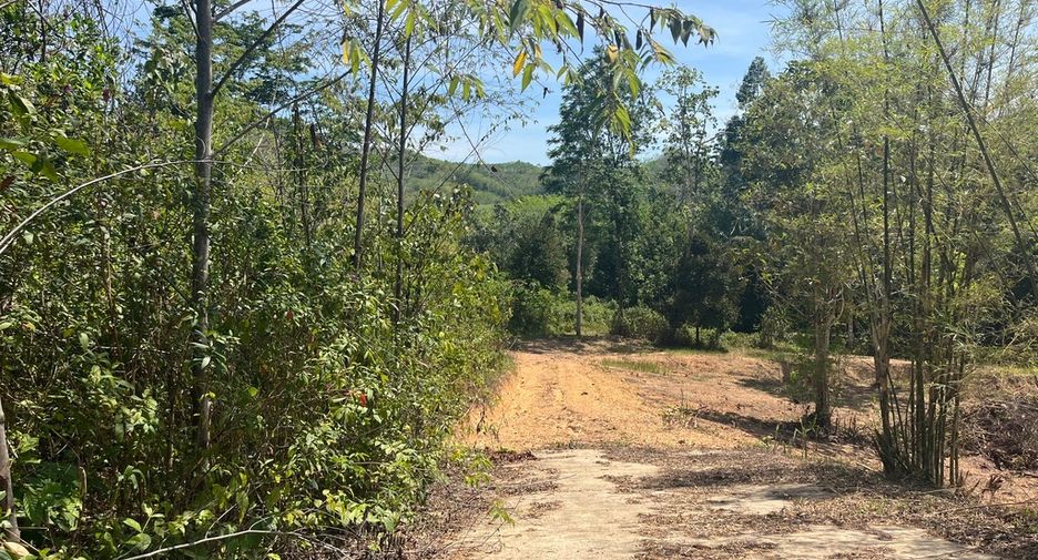 For sale land in Takua Thung, Phang Nga