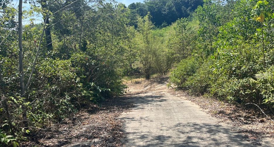 For sale land in Takua Thung, Phang Nga