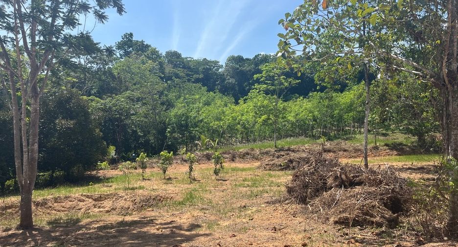 For sale land in Takua Thung, Phang Nga