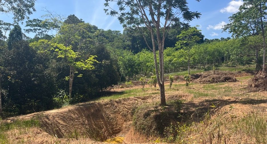 For sale land in Takua Thung, Phang Nga