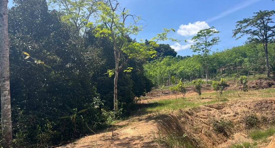 For sale land in Takua Thung, Phang Nga