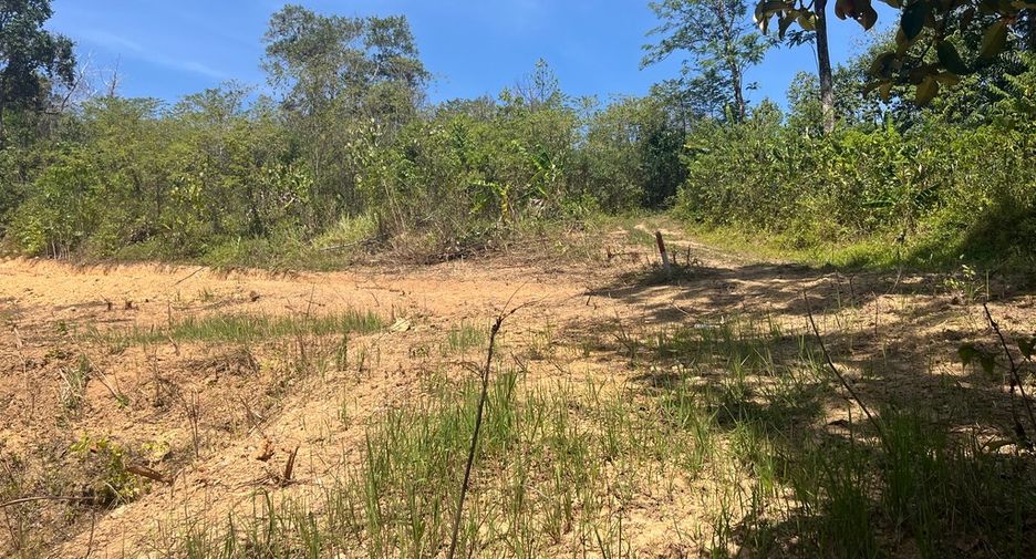 For sale land in Takua Thung, Phang Nga
