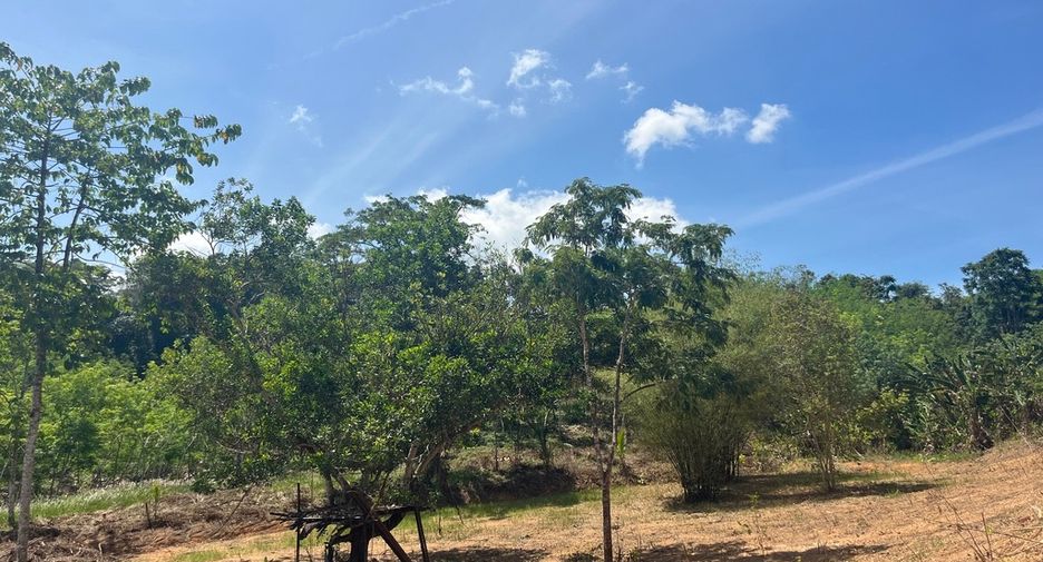 For sale land in Takua Thung, Phang Nga