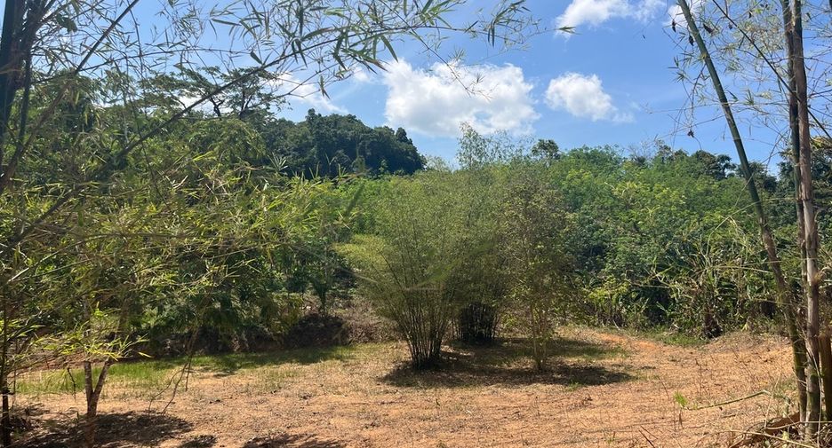 For sale land in Takua Thung, Phang Nga