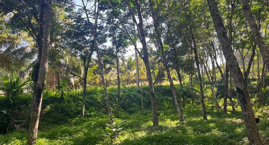 À vendre terrain à Takua Thung, Phang Nga