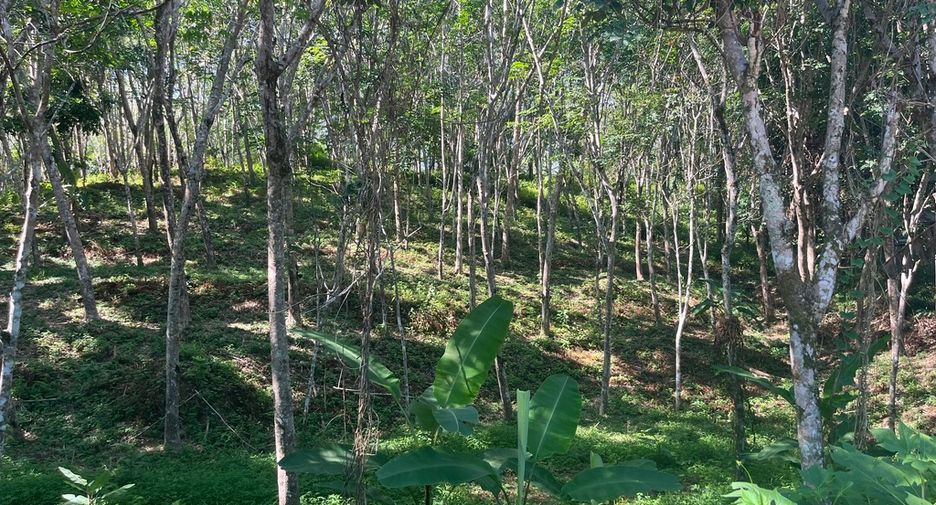 À vendre terrain à Takua Thung, Phang Nga