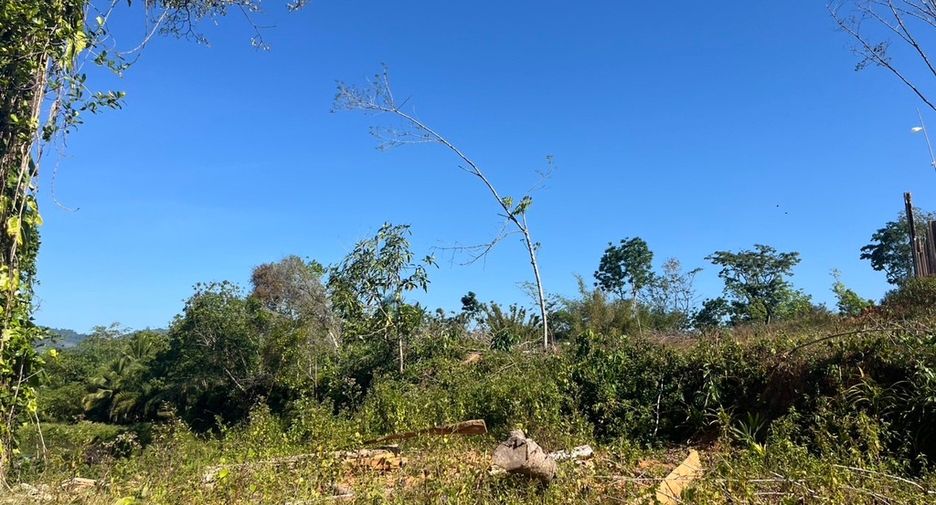 For sale land in Takua Thung, Phang Nga