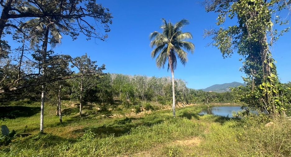 For sale land in Takua Thung, Phang Nga