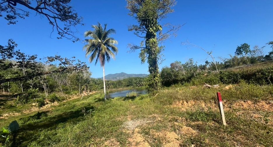 For sale land in Takua Thung, Phang Nga