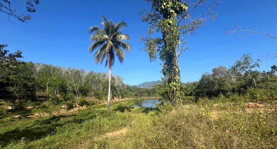 For sale land in Takua Thung, Phang Nga