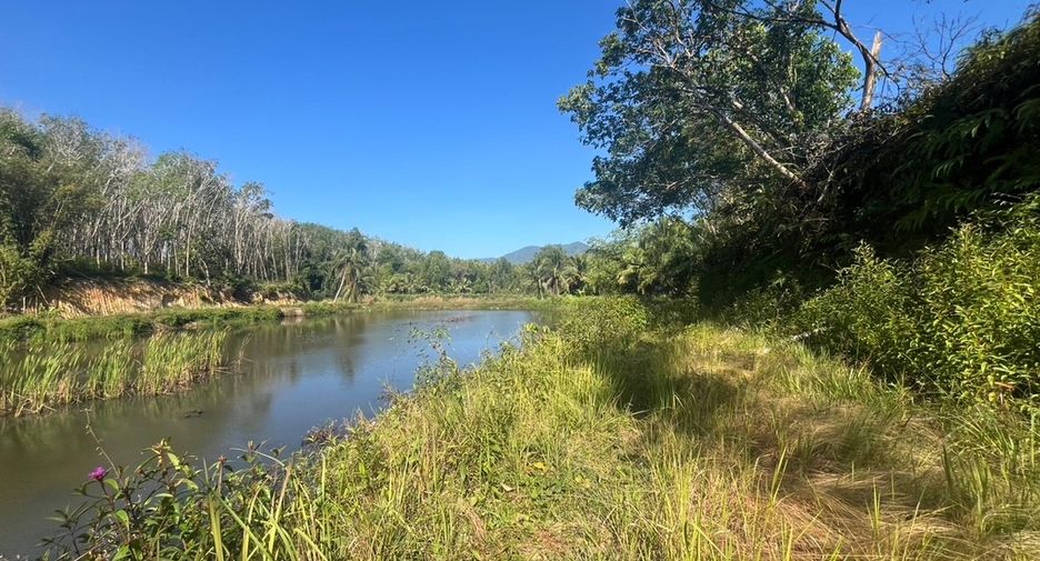 For sale land in Takua Thung, Phang Nga