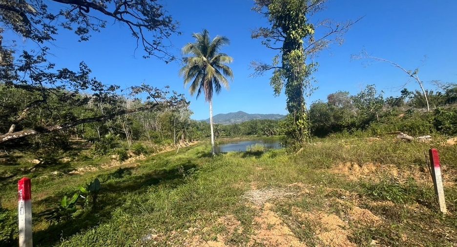For sale land in Takua Thung, Phang Nga