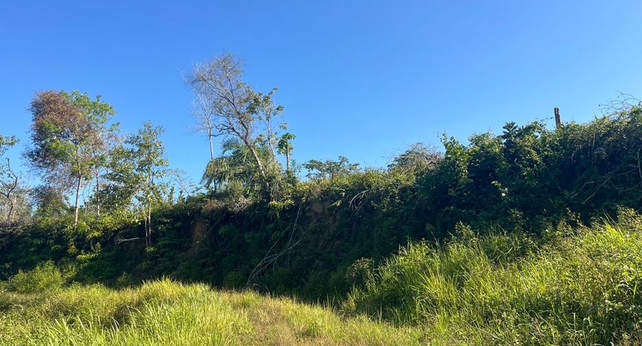 For sale land in Takua Thung, Phang Nga