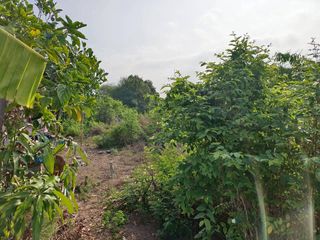 À vendre terrain à Phanat Nikhom, Chonburi