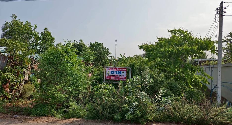 Terreno en venta en Phanat Nikhom, Chonburi