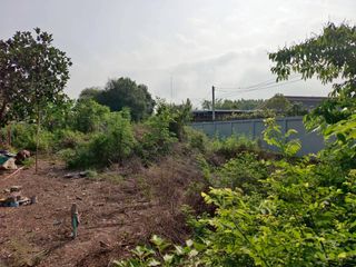 À vendre terrain à Phanat Nikhom, Chonburi