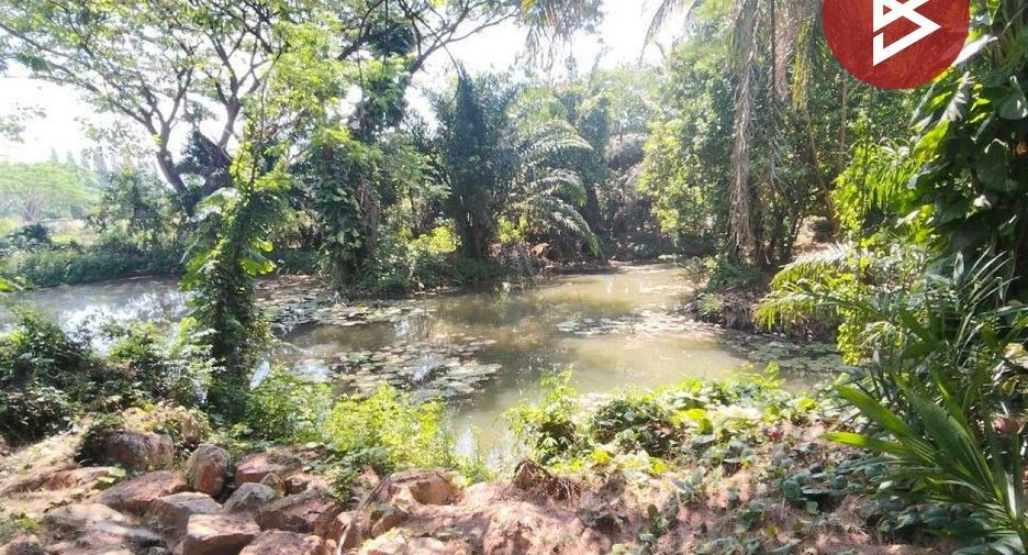 Grundstück zum Kauf in Pak Chong, Nakhon Ratchasima