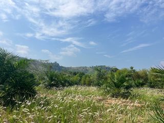 出售 土地 在 Thai Mueang, Phangnga