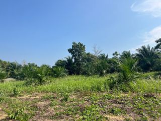 出售 土地 在 Thai Mueang, Phangnga