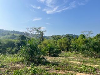 出售 土地 在 Thai Mueang, Phangnga