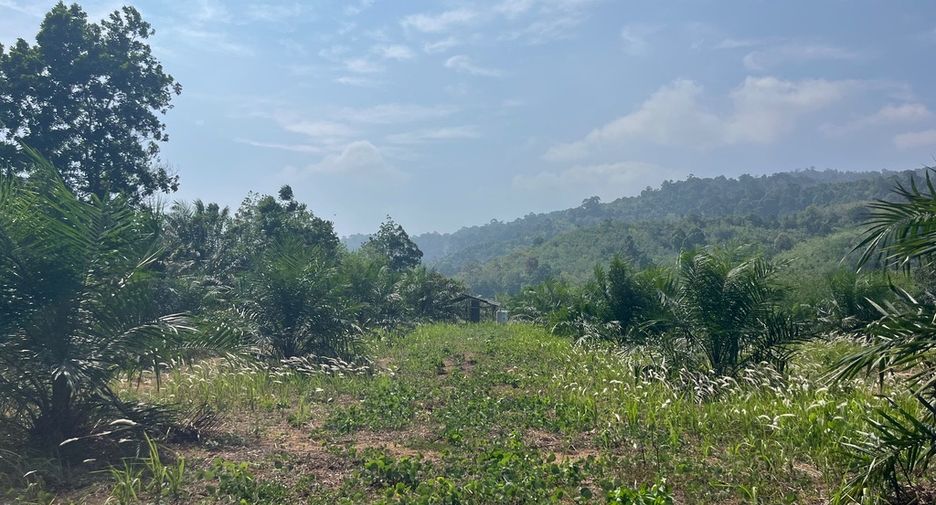 Terreno en venta en Thai Mueang, Phang Nga