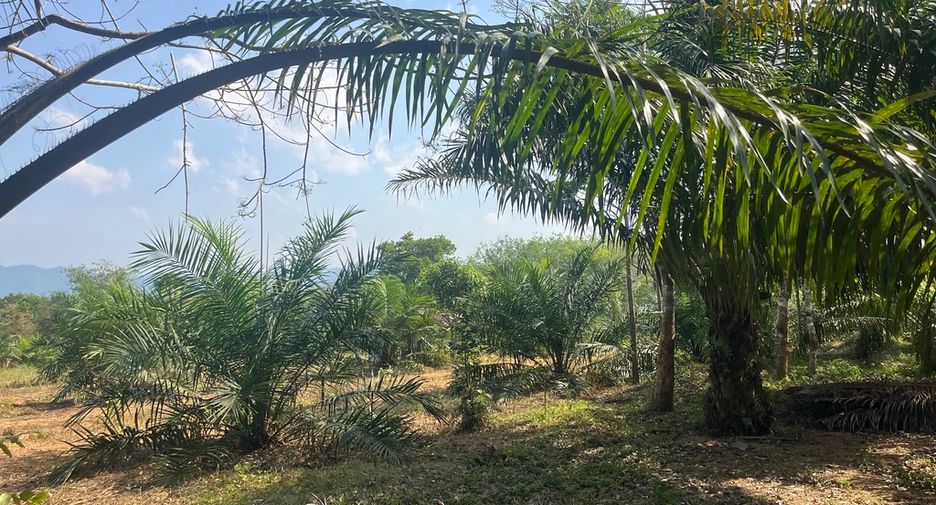 Terreno en venta en Thai Mueang, Phang Nga
