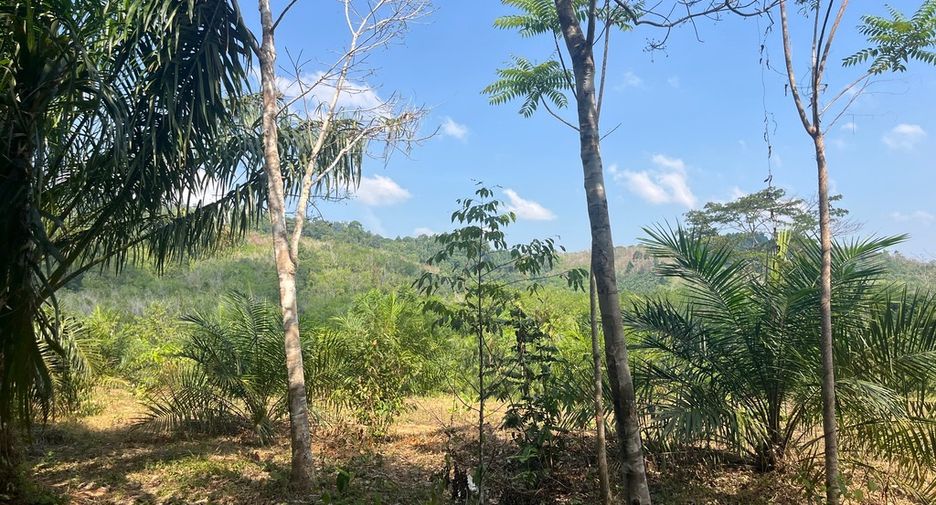 Terreno en venta en Thai Mueang, Phang Nga