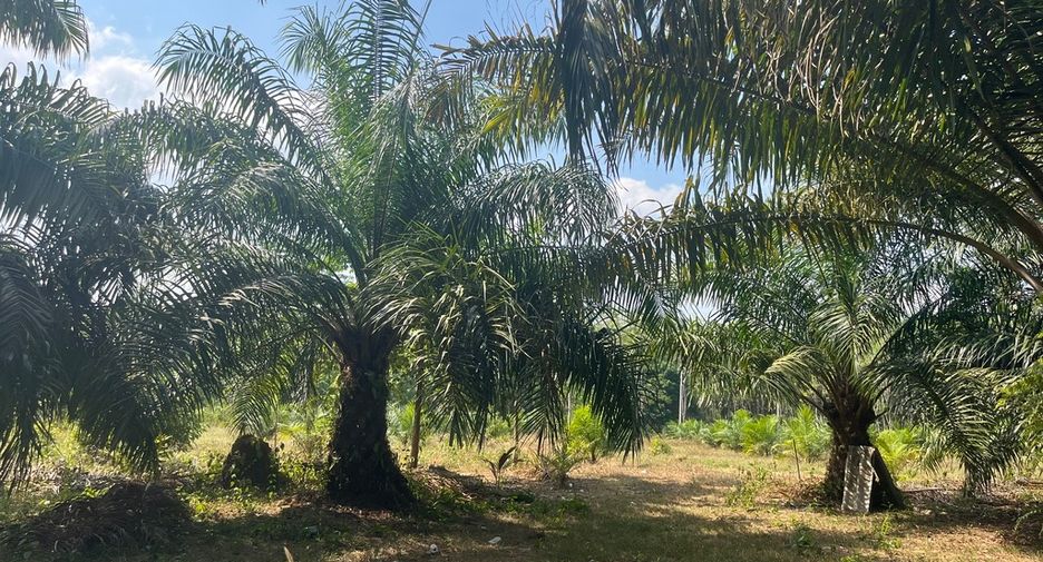 Terreno en venta en Thai Mueang, Phang Nga