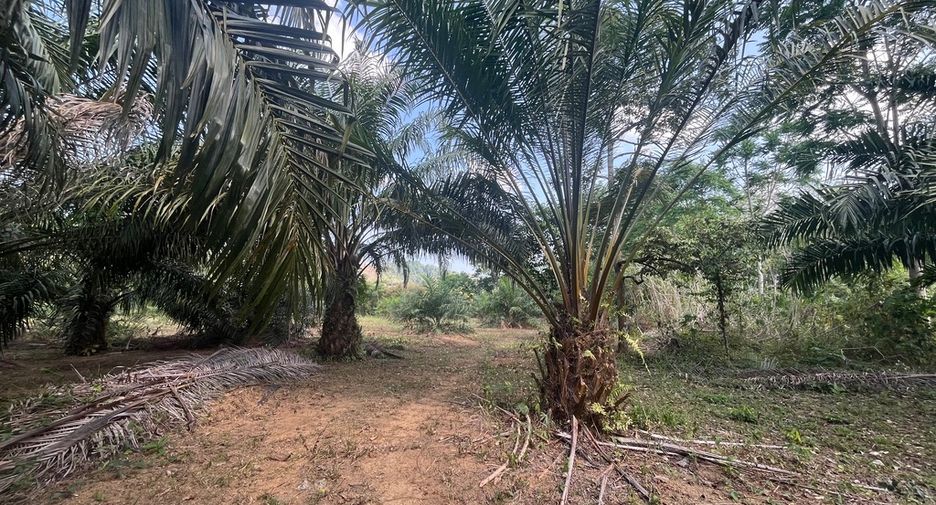 Terreno en venta en Thai Mueang, Phang Nga