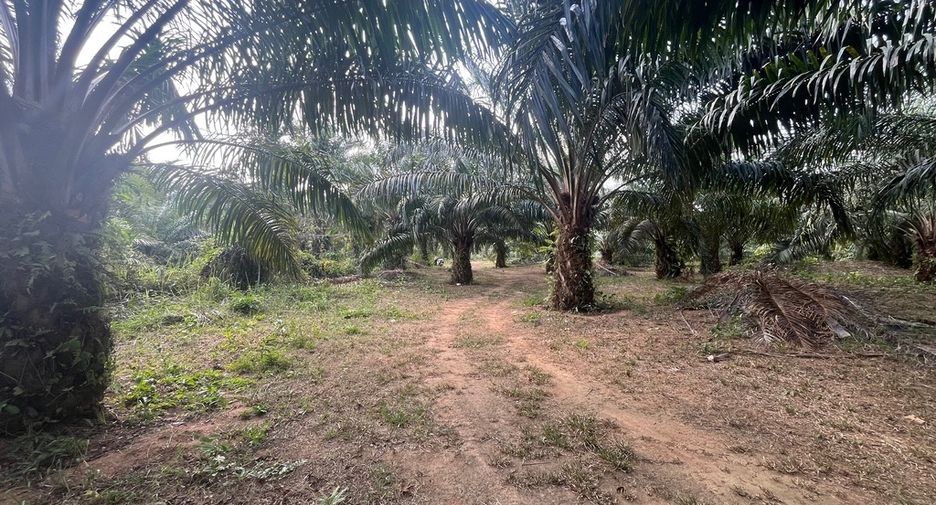 Terreno en venta en Thai Mueang, Phang Nga