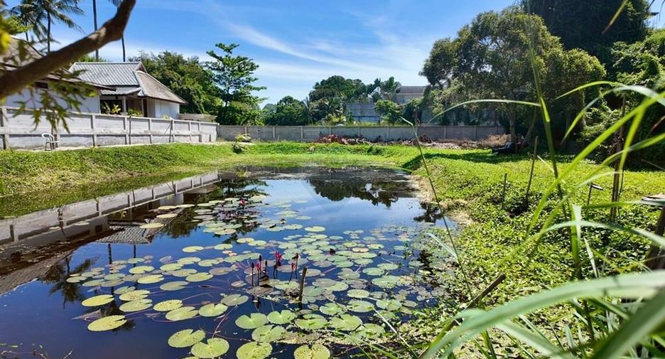 For sale studio house in Ko Samui, Surat Thani