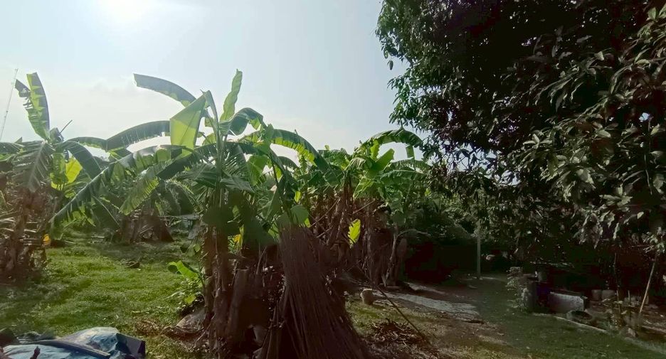 ขาย ที่ดิน ใน พนัสนิคม, ชลบุรี